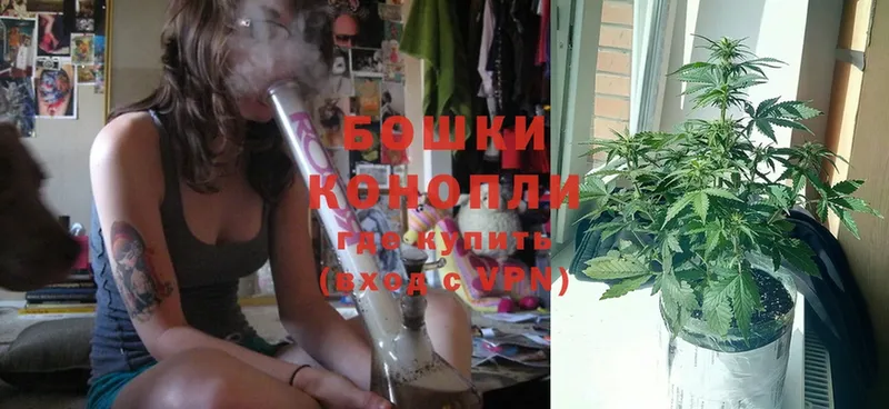 Конопля SATIVA & INDICA  мега вход  Грайворон 